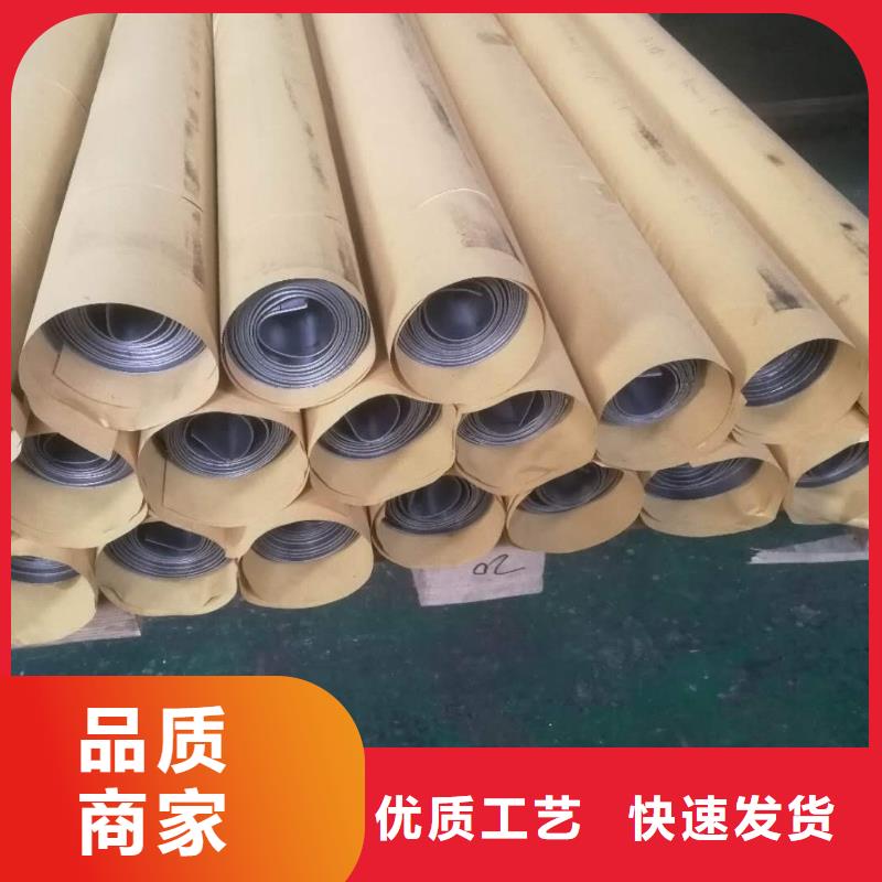 鉛板鉛門廠今年新款