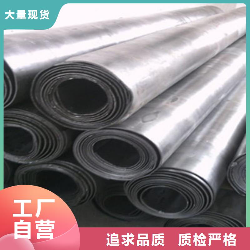 核醫學射線防護鉛門