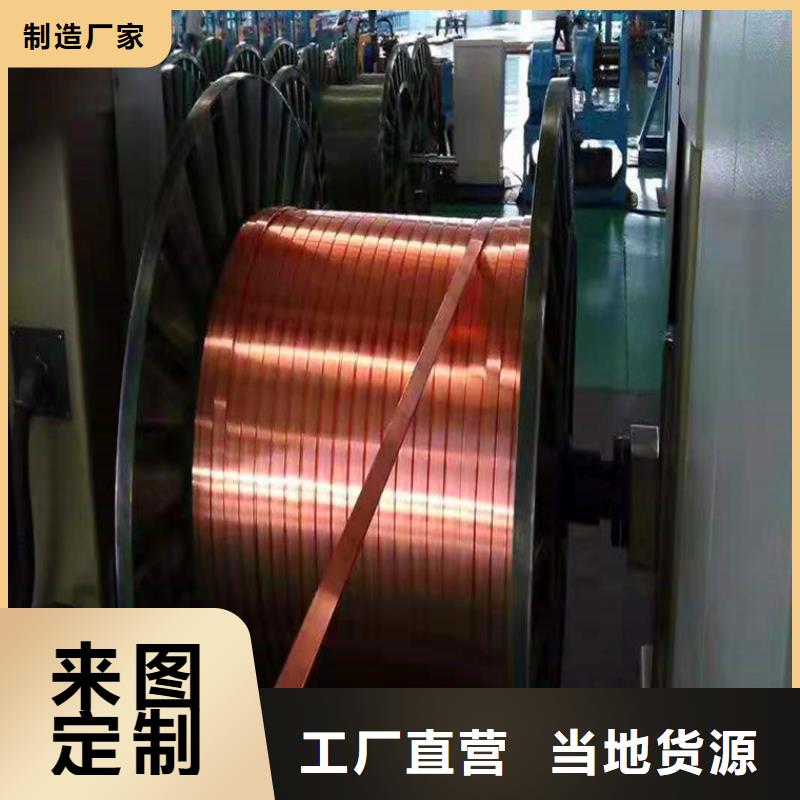珙縣變電站銅排配電柜專用