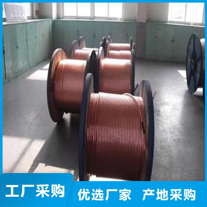 铜绞线紫铜带真正让利给买家