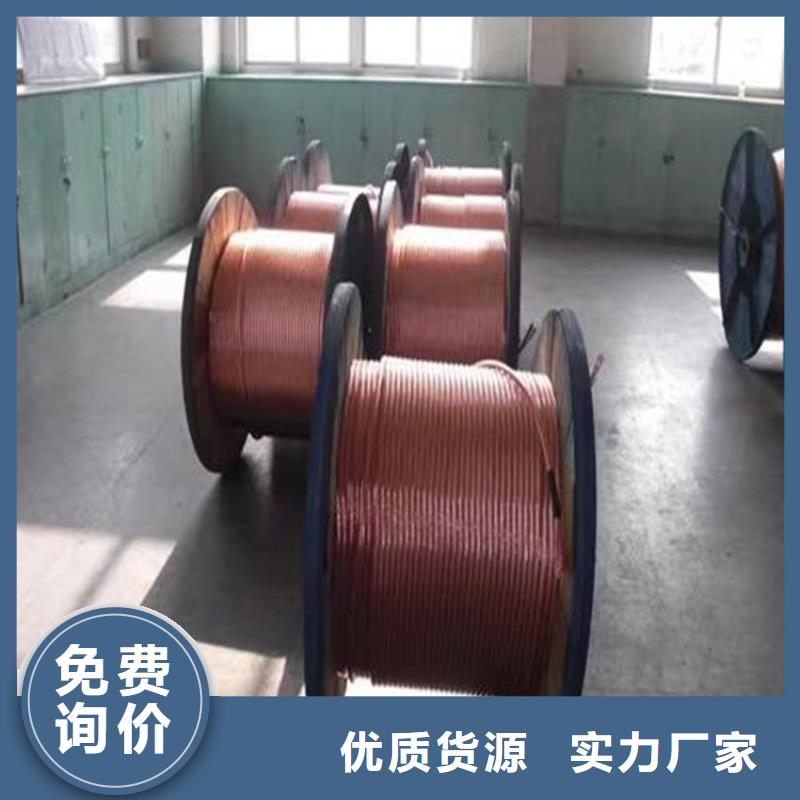 铜绞线视频-沈阳市铜绞线-当地可服务区域新民|法库|葫芦岛|锦州|丹东|朝阳|营口|抚顺