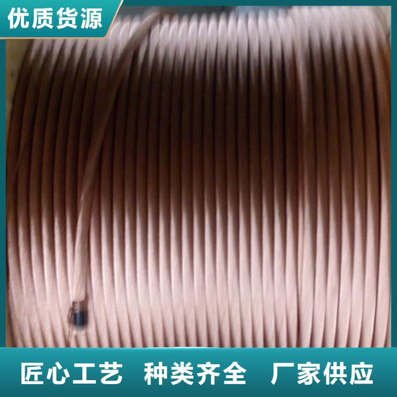 铜绞线_紫铜带实体诚信经营