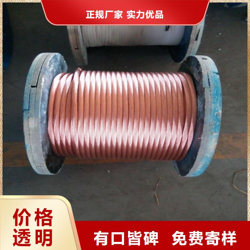 鍍錫銅絞線執行標準