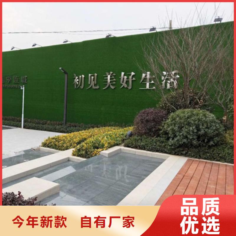 東川市政工地墻面仿真草皮廠家供應(yīng)