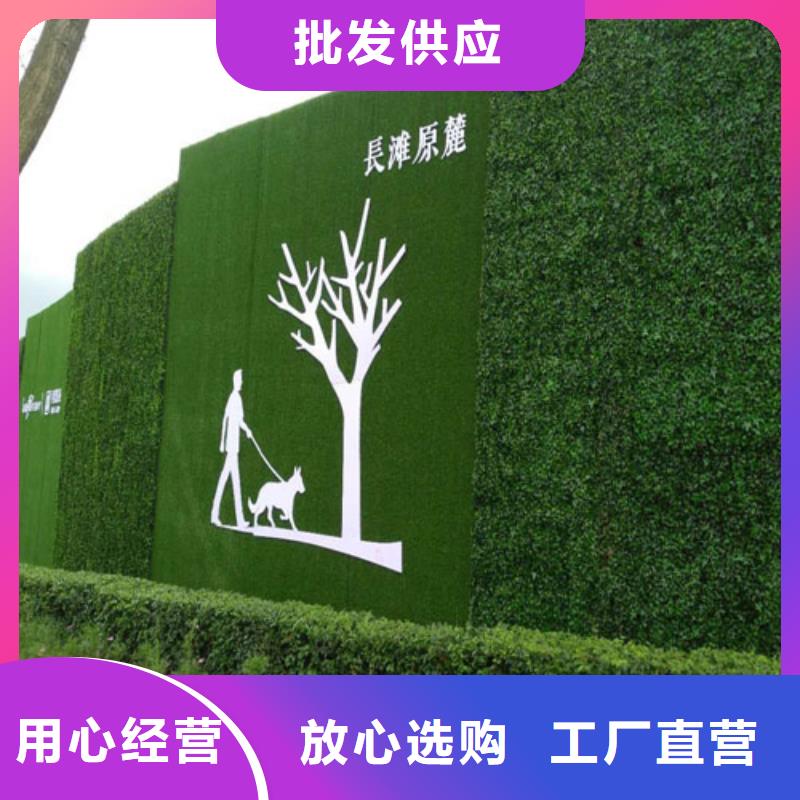 圍擋草坪人造草坪圍擋價(jià)格合理