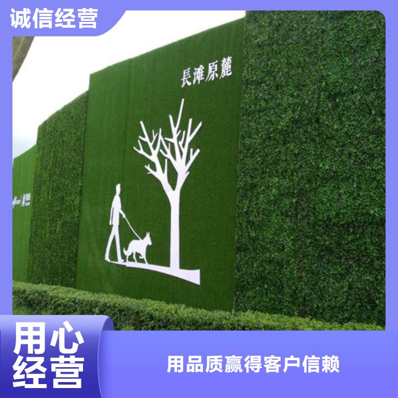 圍擋草坪假草皮圍擋支持非標(biāo)定制