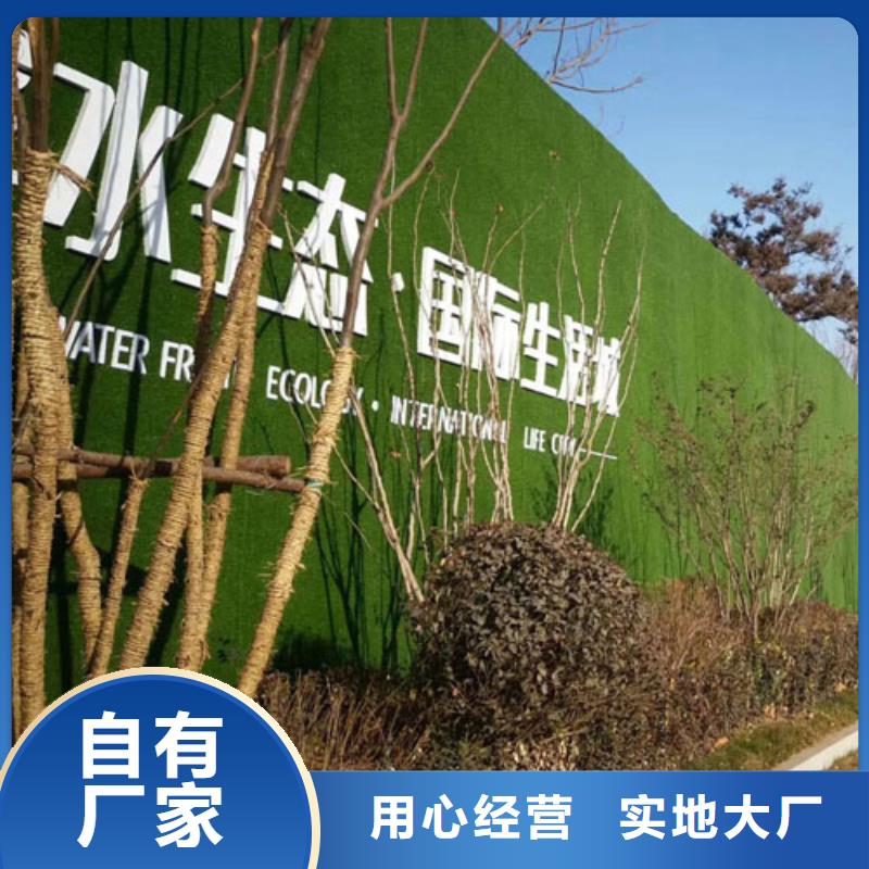 圍擋草坪N年生產經驗