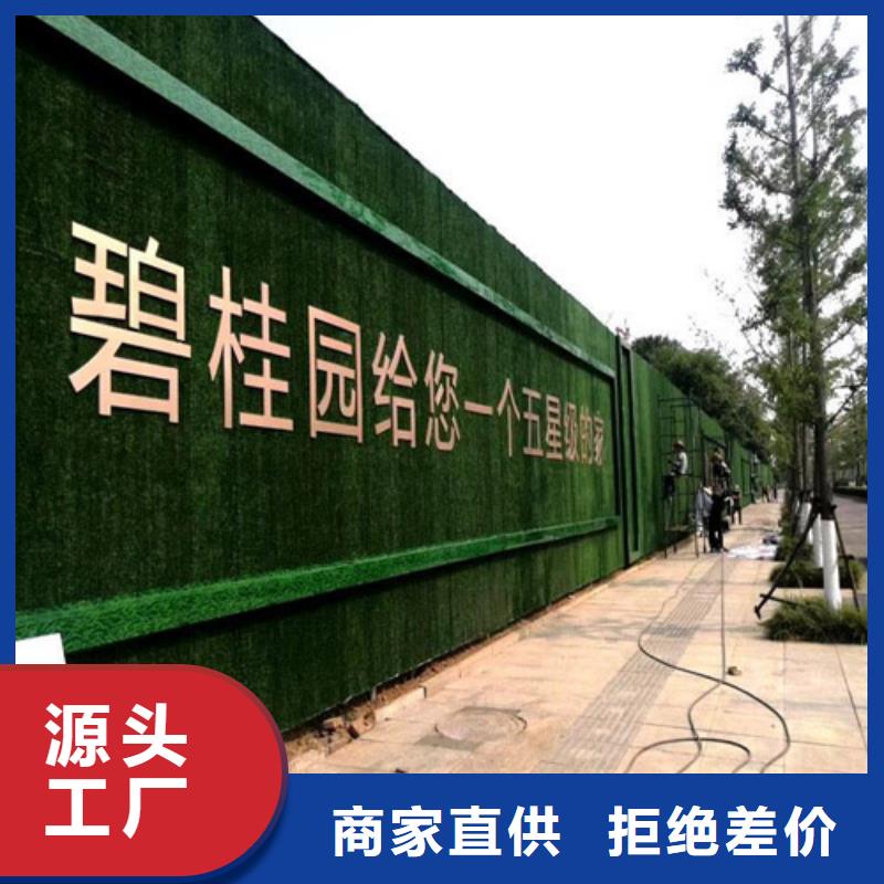 草坪围挡假草皮围挡供您所需