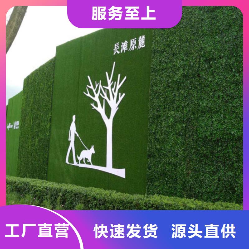 草坪围挡围挡草坪厂家真正让利给买家