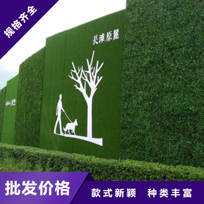 草坪围挡人造草坪围挡厂家实力雄厚