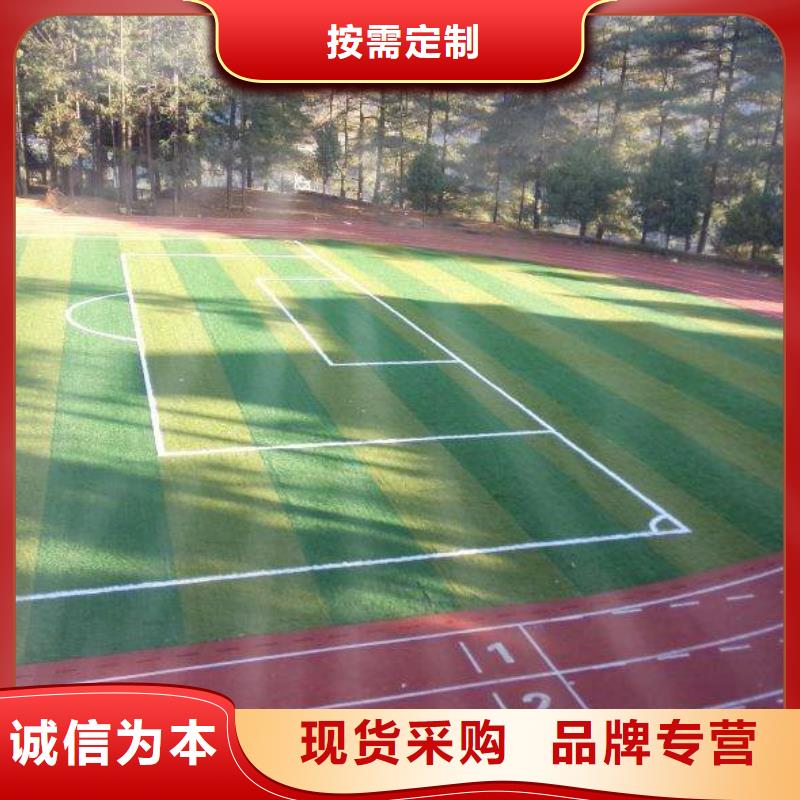 社區(qū)塑膠場地技術(shù)實力雄厚