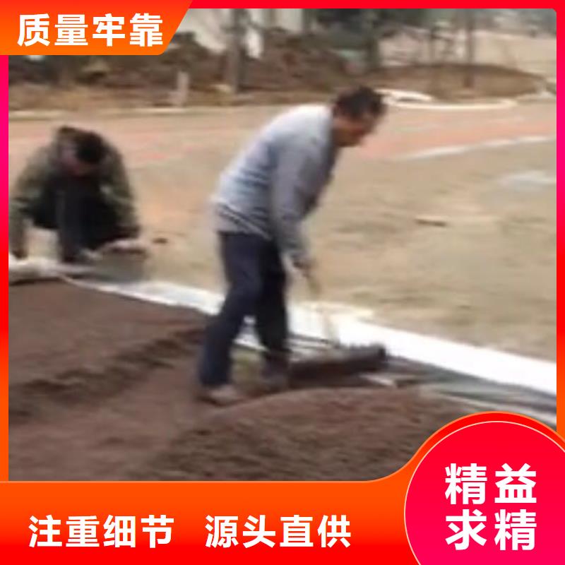 【透水】藝術壓模地坪品牌大廠家