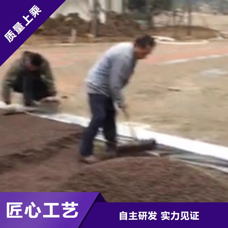 透水-彩色壓模地面您身邊的廠家