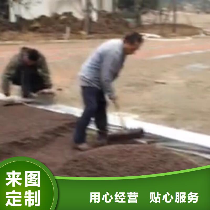 透水彩色透水混凝土實體誠信廠家