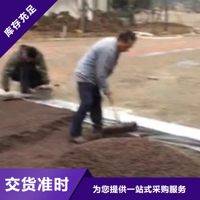 透水藝術壓模地坪為您精心挑選