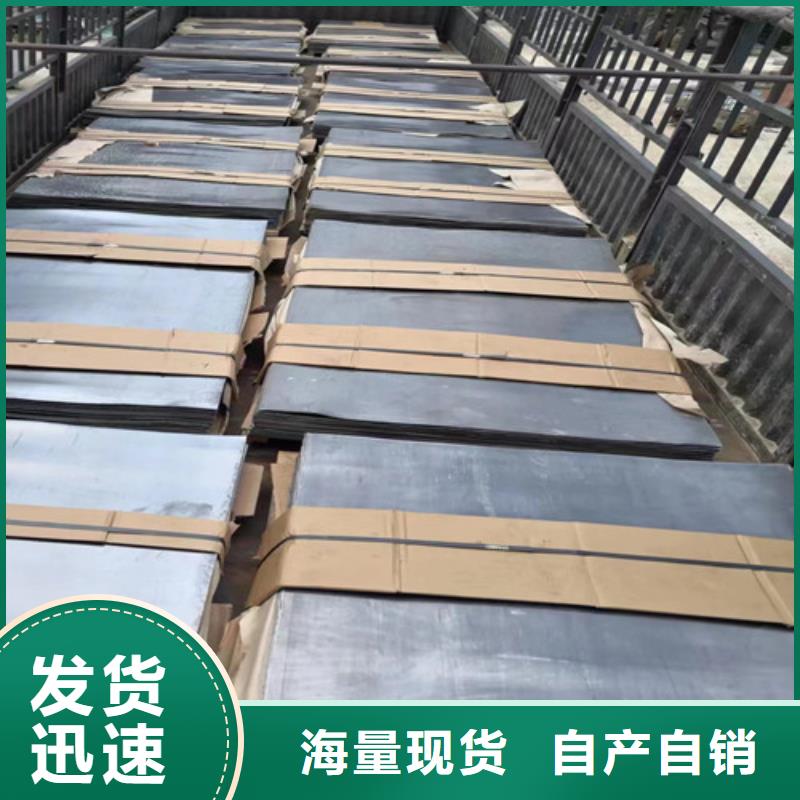 CT室铅门视频-湖南省益阳市|南县|沅江|郴州|怀化|娄底|株洲CT室铅门-全胜