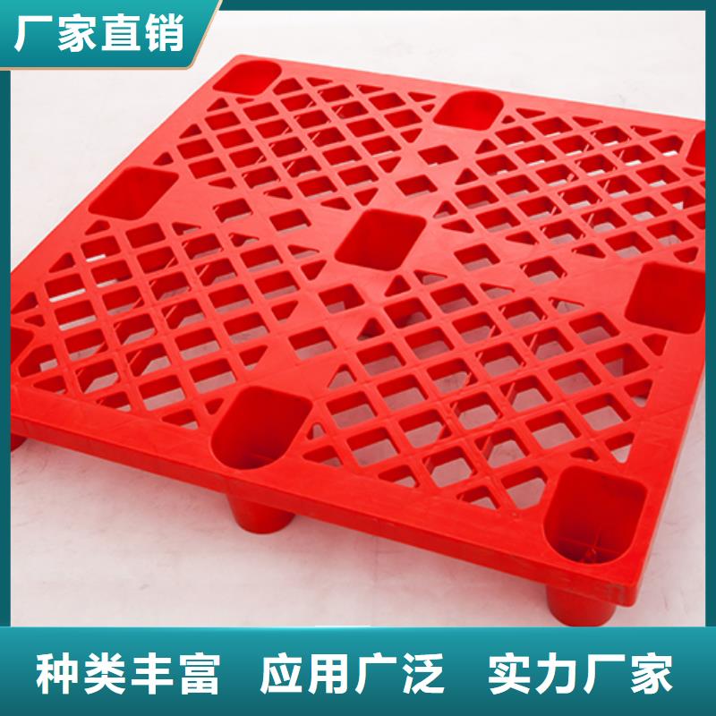 食用菌冷庫塑料托盤生產廠家