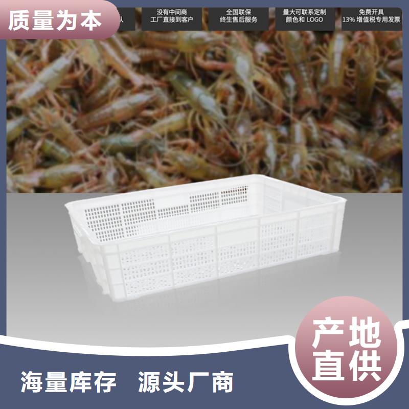 塑料筐视频-塑料筐|河南省濮阳市|华龙|台前|信阳|漯河|安阳|开封