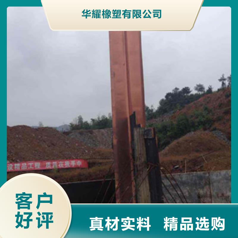 廣碩紫銅止水大品牌品質優