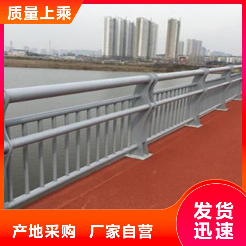 專業的304不銹鋼復合管護欄