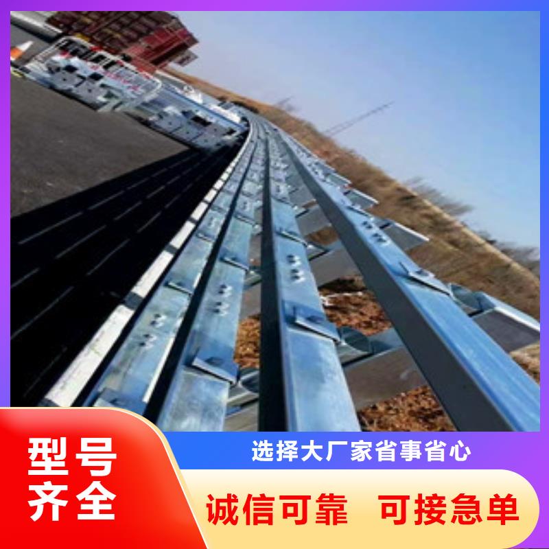 桥梁护栏-【河道防撞护栏】多年经验值得信赖由辰铭为您