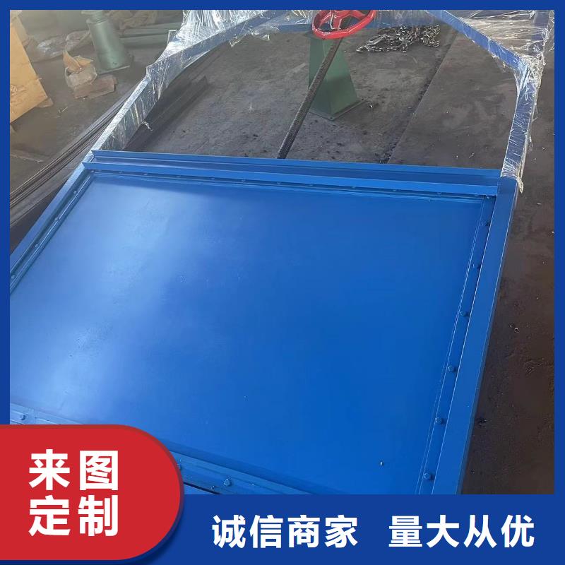 定輪鋼制閘門廠家直供