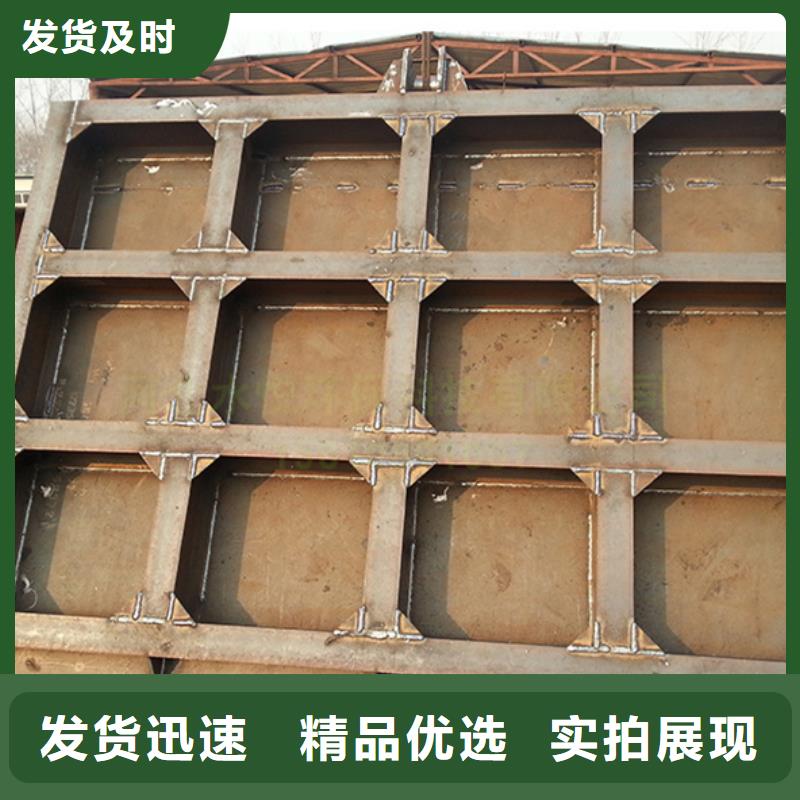 鋼閘門(mén),噴鋅鋼制閘門(mén)多年行業(yè)積累