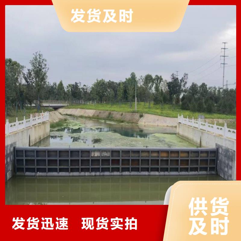 平面鋼閘門廠家參數(shù)