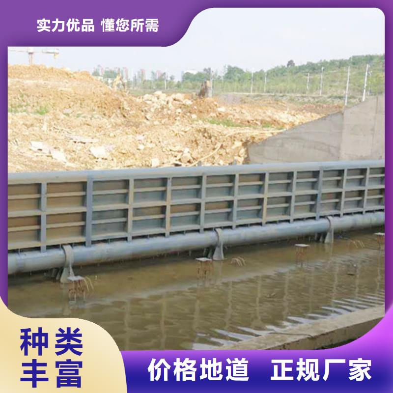鋼閘門(mén),噴鋅鋼制閘門(mén)多年行業(yè)積累