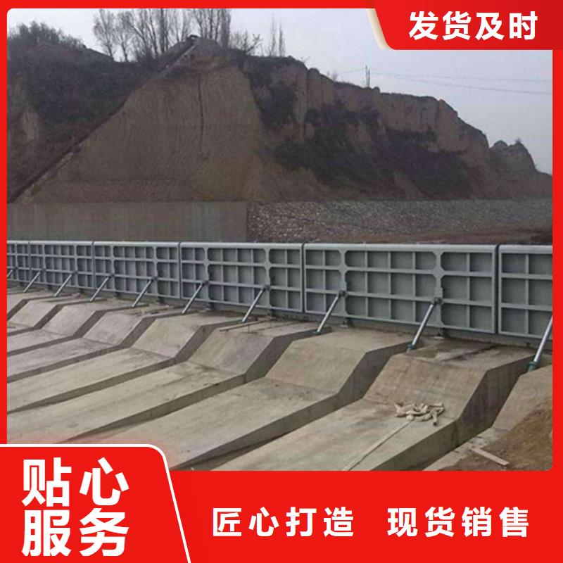 品牌的雙向鋼制閘門廠家