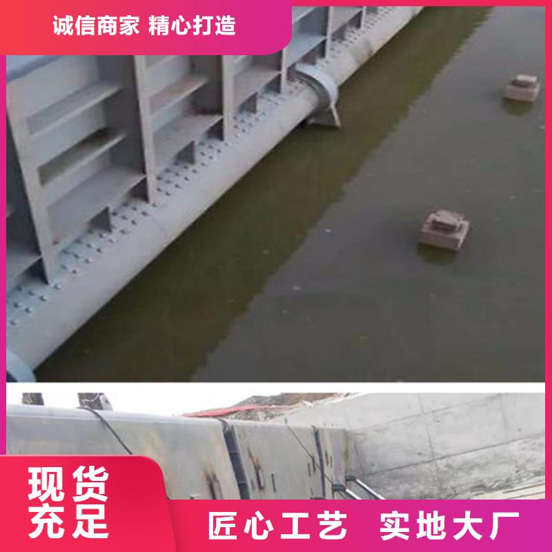 PZM不銹鋼閘門