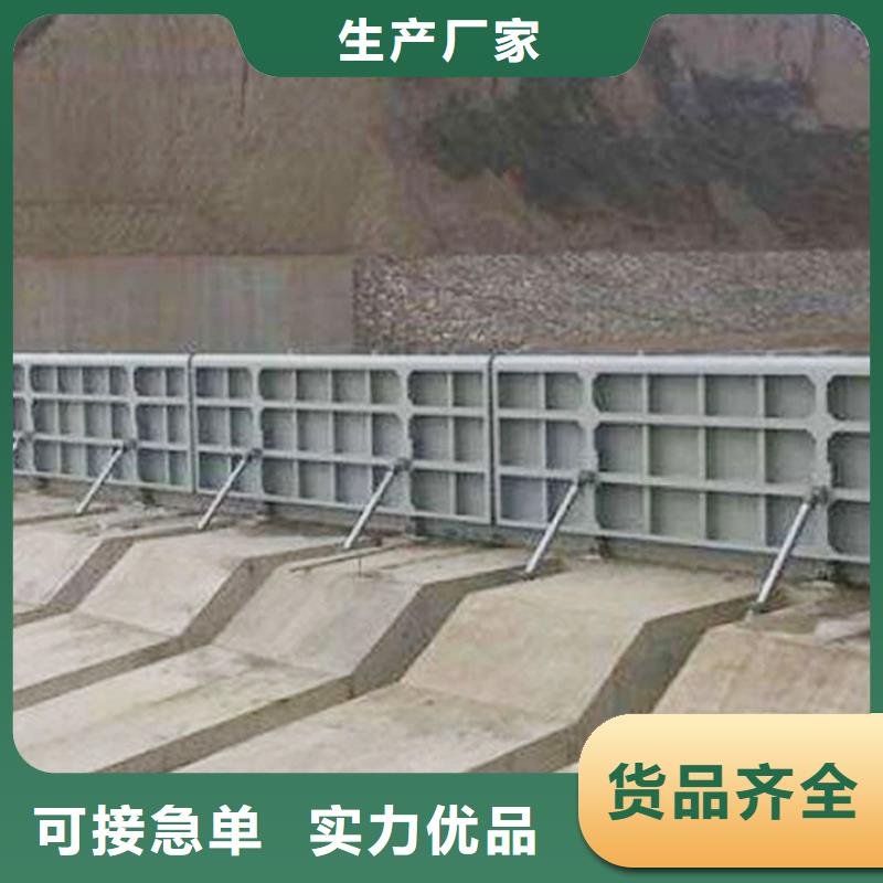 钢闸门快速发货