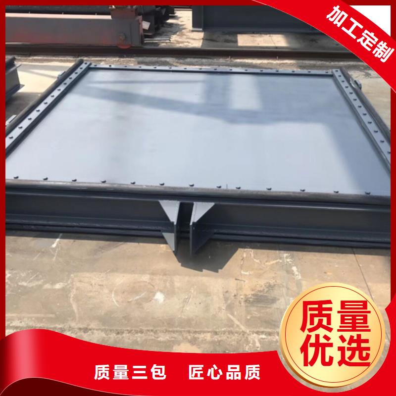 PZM電動不銹鋼渠道閘門