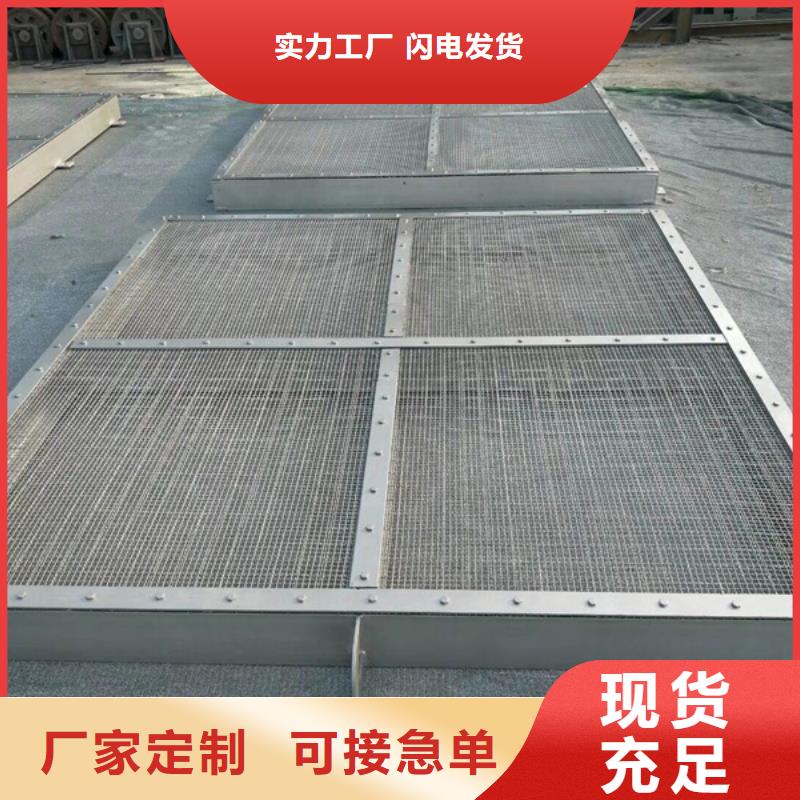值得信賴的手提鋼制閘門