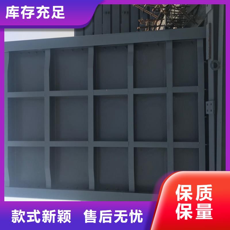  钢闸门实力派厂家