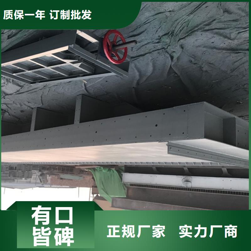  鋼閘門質量檢測