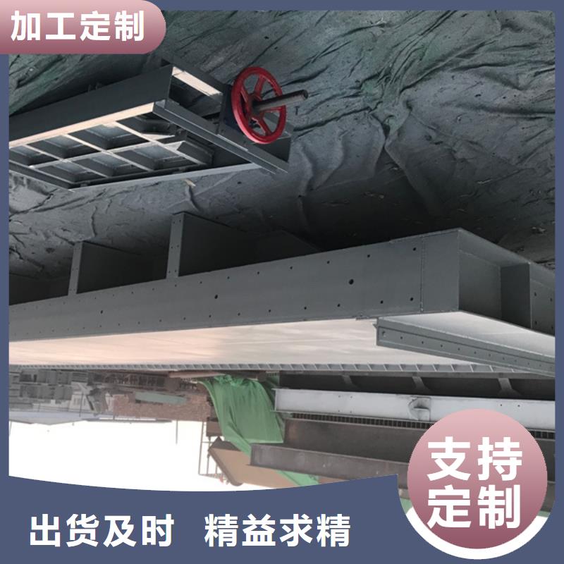 鋼閘門除污機精選廠家好貨