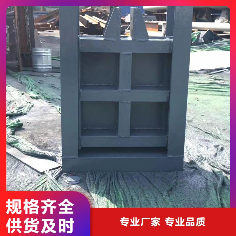 PZM不銹鋼閘門