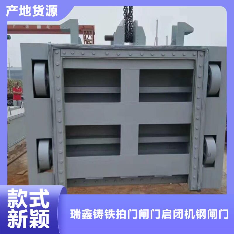 定輪鋼制閘門廠家直供