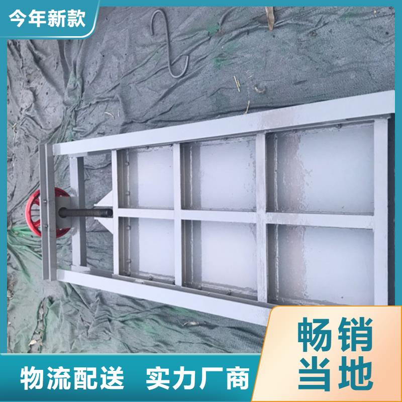 露頂式鋼閘門廠家