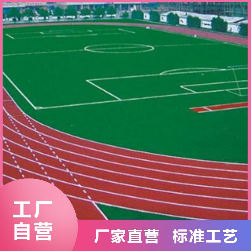 2025球場草坪