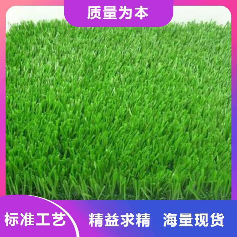 門球場草坪