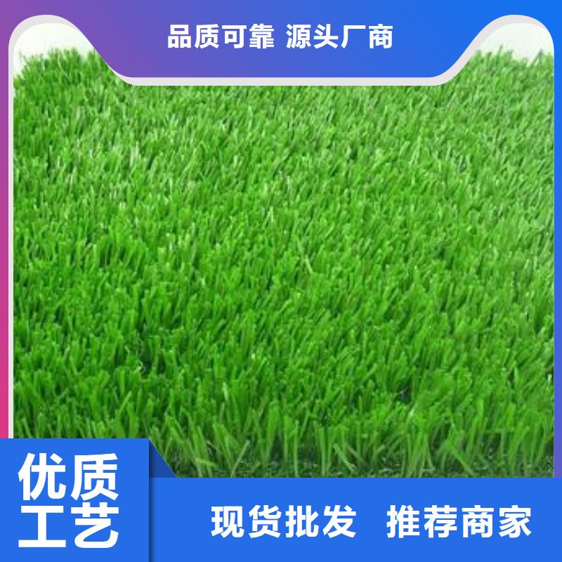 2025混合型塑膠跑道施工