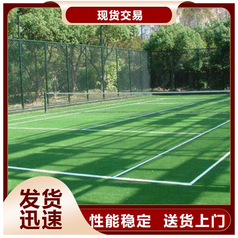 2025休閑草坪