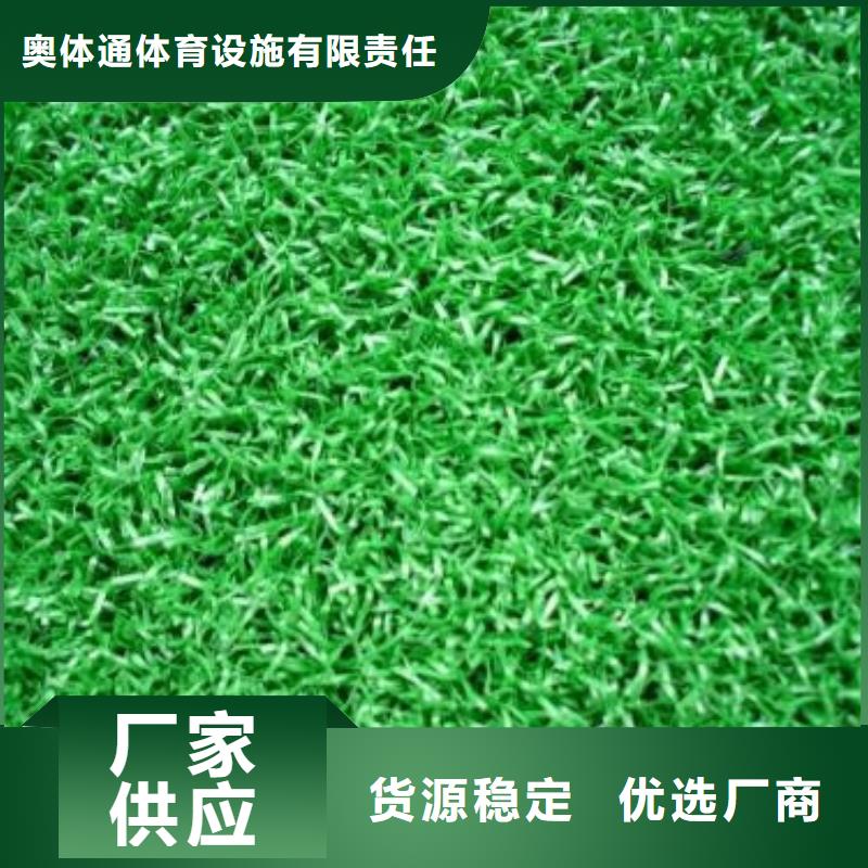 2025預(yù)制跑道