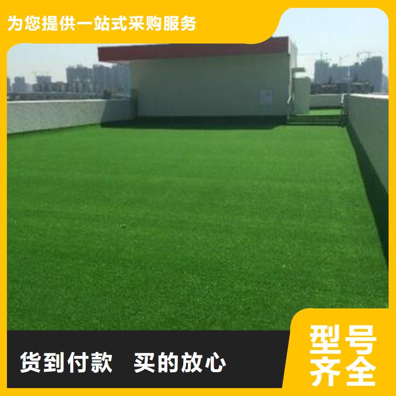 彩色塑膠跑道