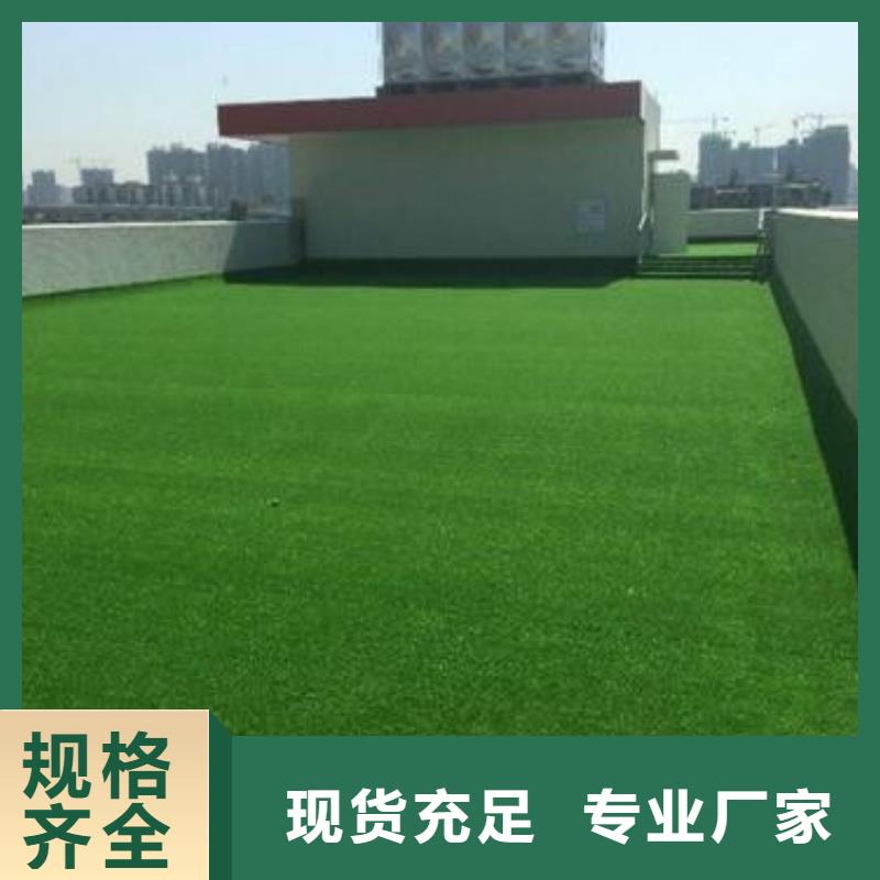 硅pu球场视频-硅pu球场-河北省廊坊市【同城】货源-固安|霸州|石家庄|衡水|承德|保定|张家口
