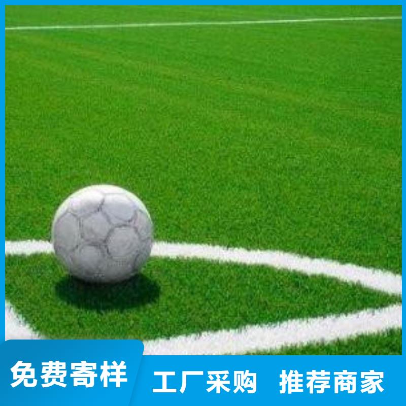 體育場座椅