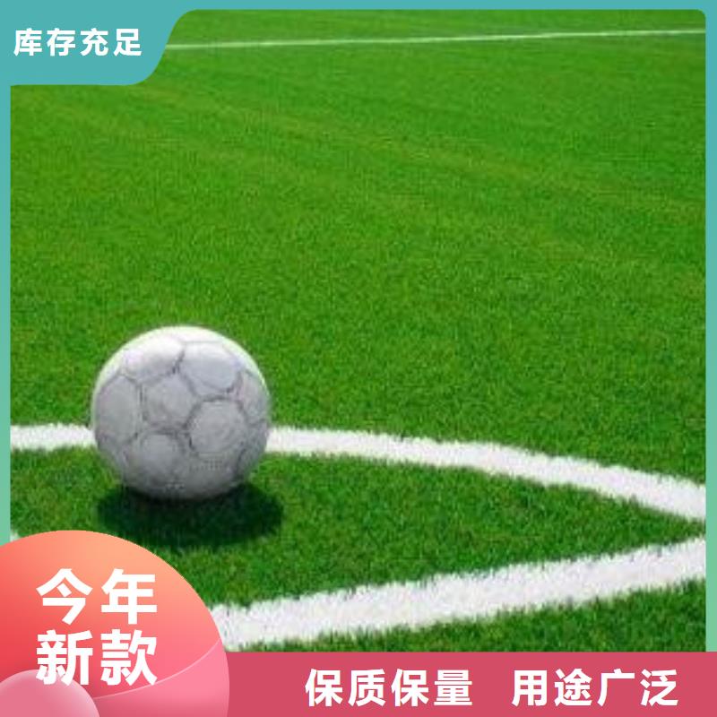 2025硅pu