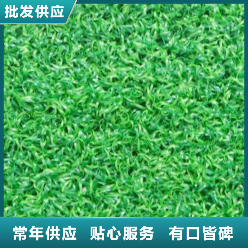 20mm人造草坪
